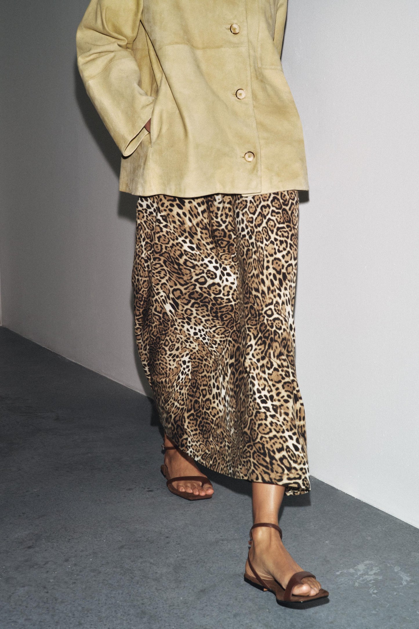 #7b5d3f, Leopard