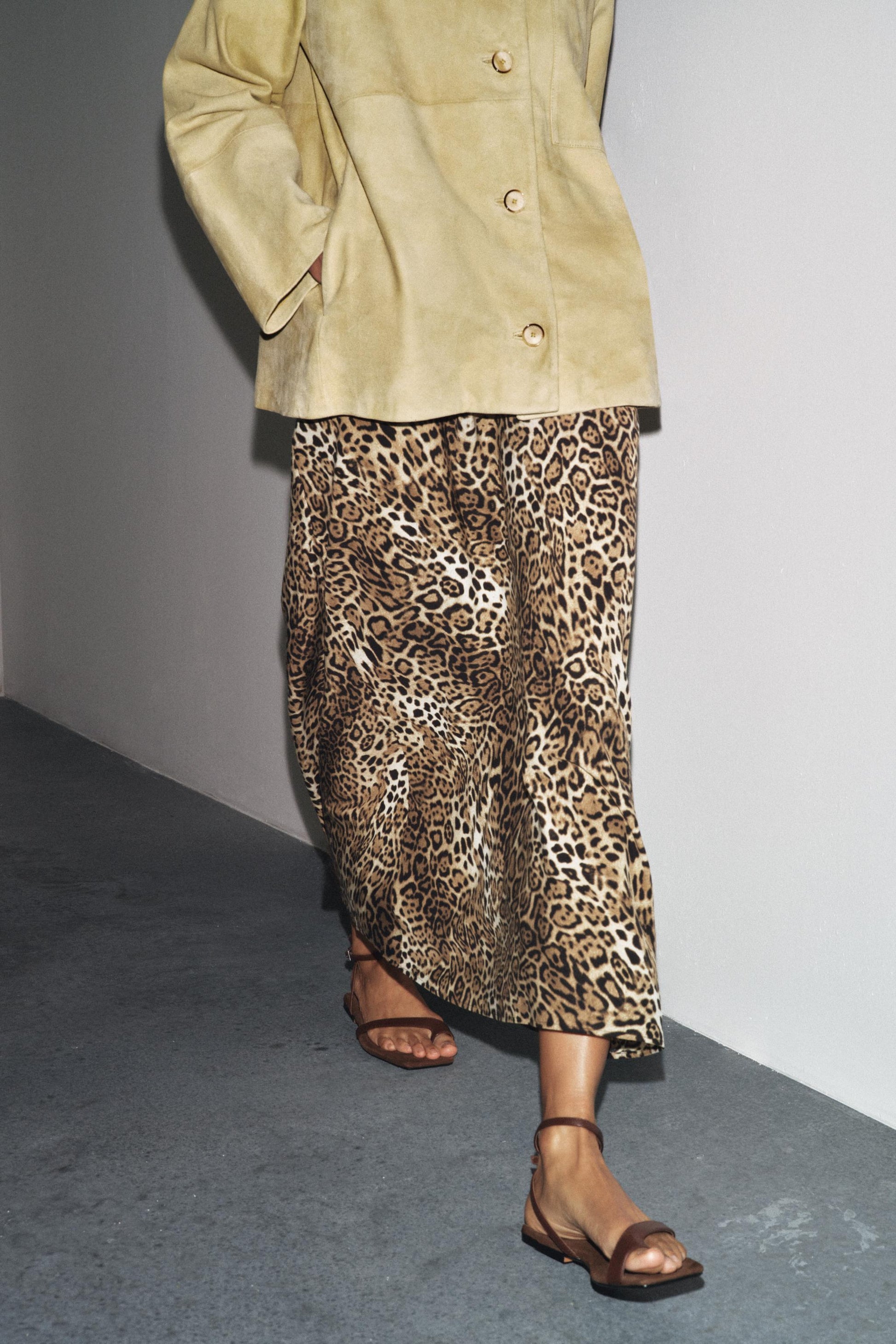 #7b5d3f, Leopard