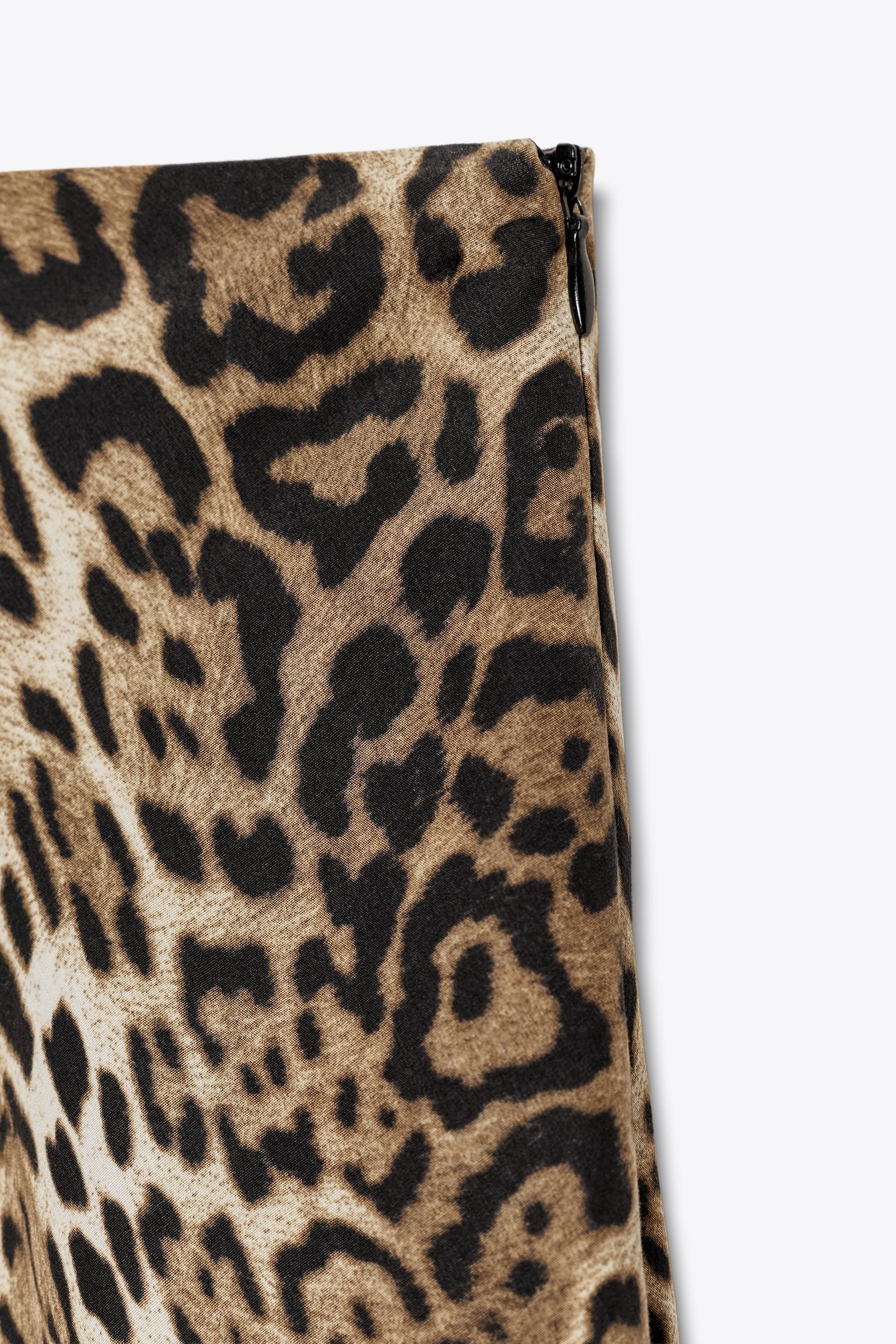 #7b5d3f, Leopard